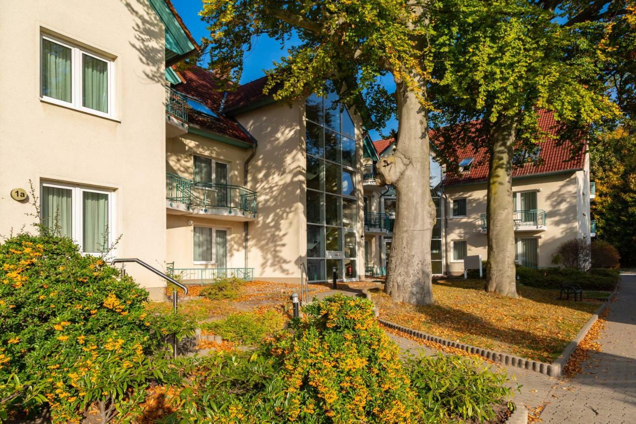 Apartment Giovanni Zempin Exteriér fotografie